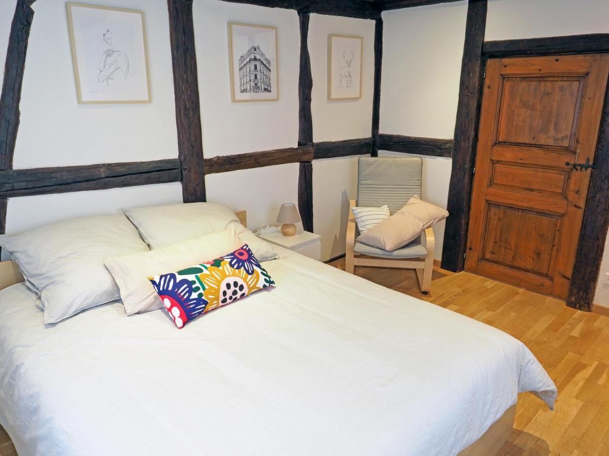 Le 128, Duplex Alsacien 10 Personnes, Piscine Apartment Horbourg Luaran gambar