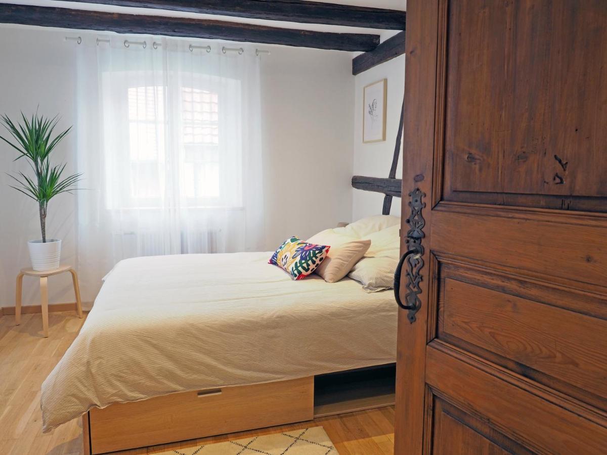 Le 128, Duplex Alsacien 10 Personnes, Piscine Apartment Horbourg Luaran gambar