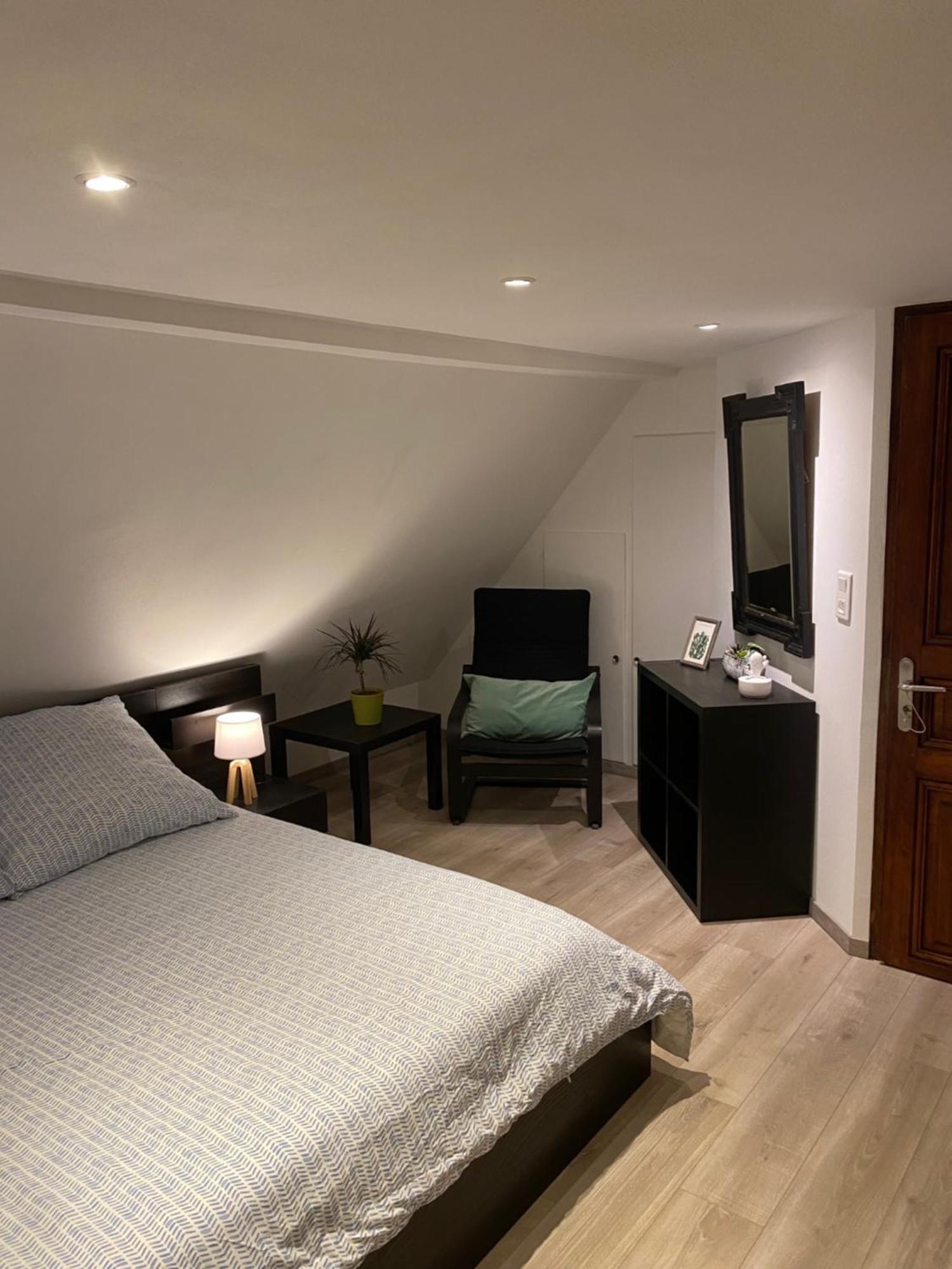 Le 128, Duplex Alsacien 10 Personnes, Piscine Apartment Horbourg Luaran gambar